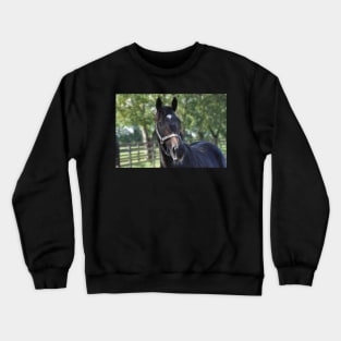 Famous Name Crewneck Sweatshirt